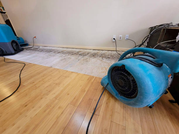 Professional Water Damage Repair technician working in Hacienda Heights, CA